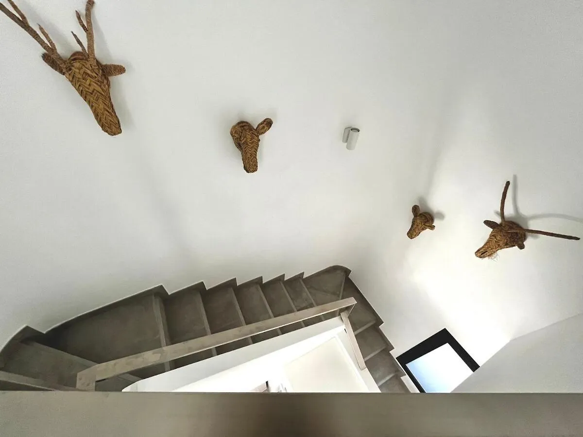Gorgeous Douplex Apartment In Parque Holandes